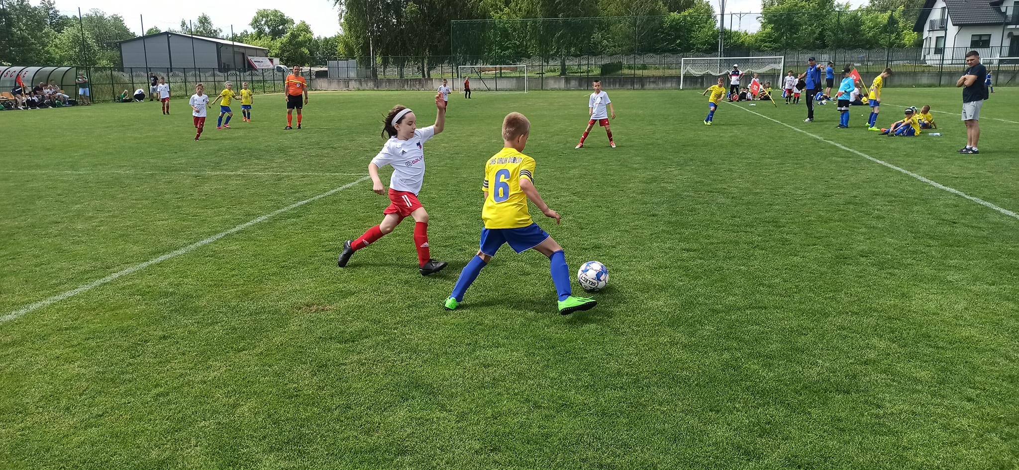 353451183_923294848835526_8121243850370782927_n