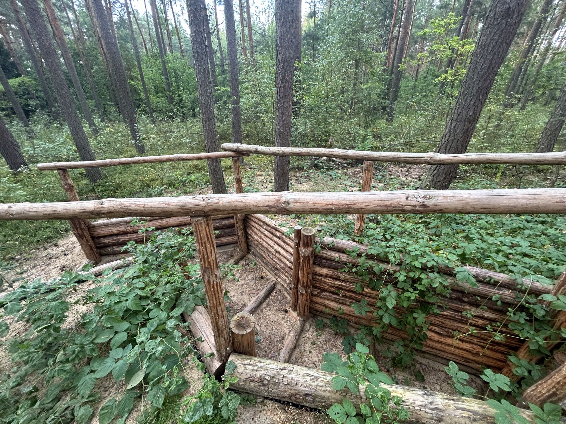 101